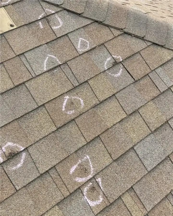 Hail damage roofing company documenting roof impact marks